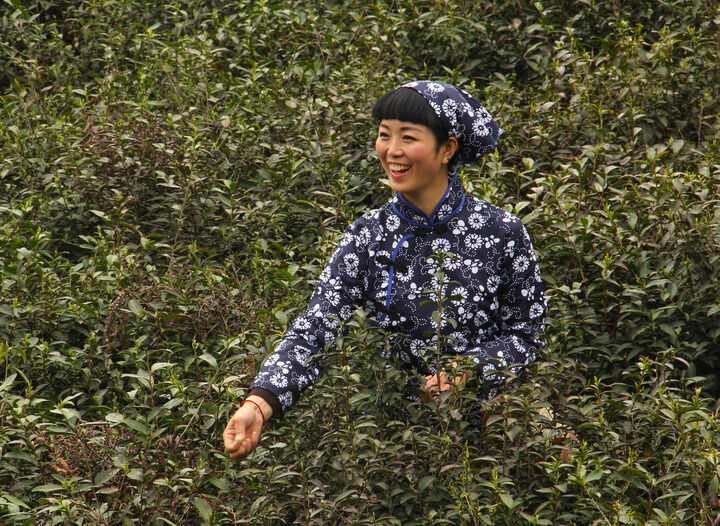 热门推荐8
